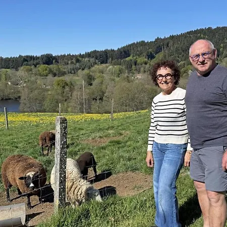 Rustique 6 Pers Avec Cheminée Et Grand Jardin, Animaux Acceptés - Fr-1-496-61