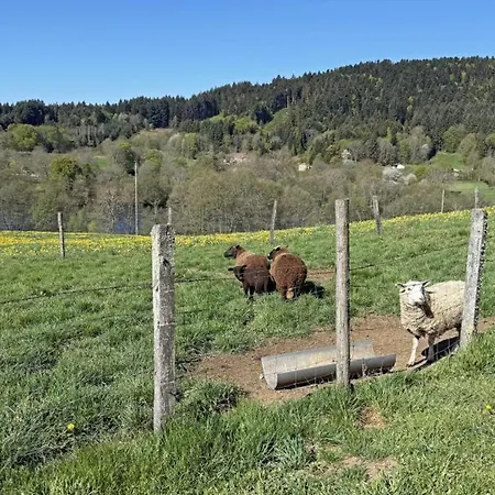 Séjour à la campagne Rustique 6 Pers Avec Cheminée Et Grand Jardin, Animaux Acceptés - Fr-1-496-61 Les Salles