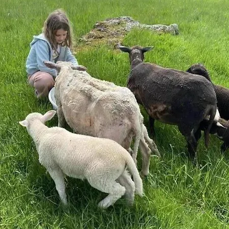 Séjour à la campagne Rustique 6 Pers Avec Cheminée Et Grand Jardin, Animaux Acceptés - Fr-1-496-61